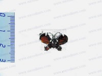 br12008wm