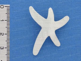 d41029wm