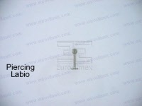 pi98016-1wm